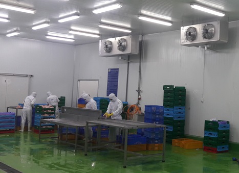 Công ty TNHH Kỹ thuật Lạnh Phương Nam